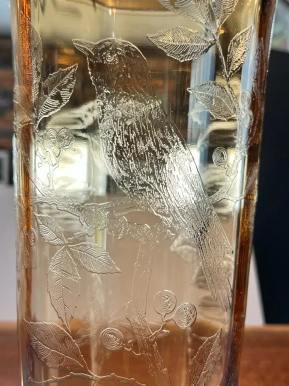 Cambridge Amber Etched Glass #717 Bird & Butterfly 13